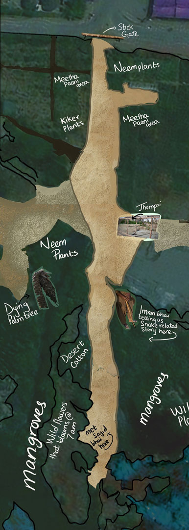 clifton-urban-forest-map